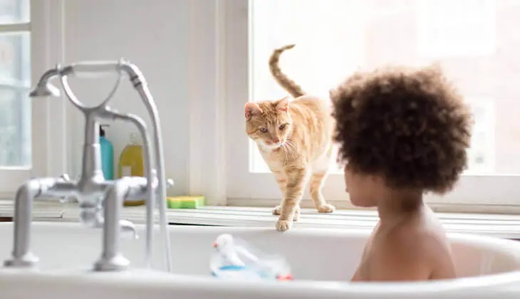 Cat and Child in Bathroom An orange cat walks on a windowsill above a child sitting inside a bathtub.