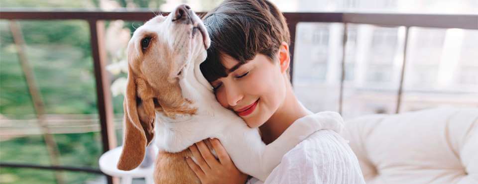 A woman and her beloved dog. A woman closes her eyes whilst cuddling her beagle dog.