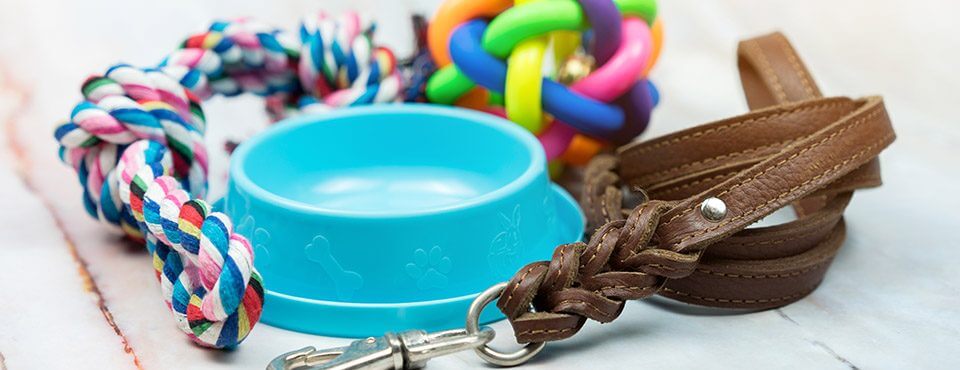 Dog supplies Essential supplies for a dog including a bowl, a lead and toys.