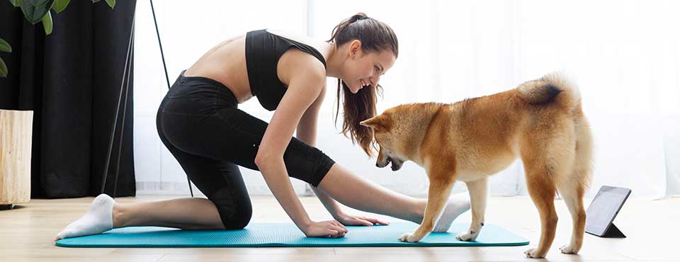 A woman and her dog doing yoga A woman in gym clothes practicing yoga with her golden dog.