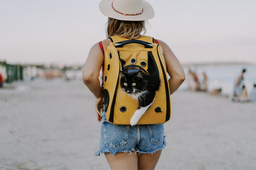 A woman travelling with her cat in a cat friendly backpack.
