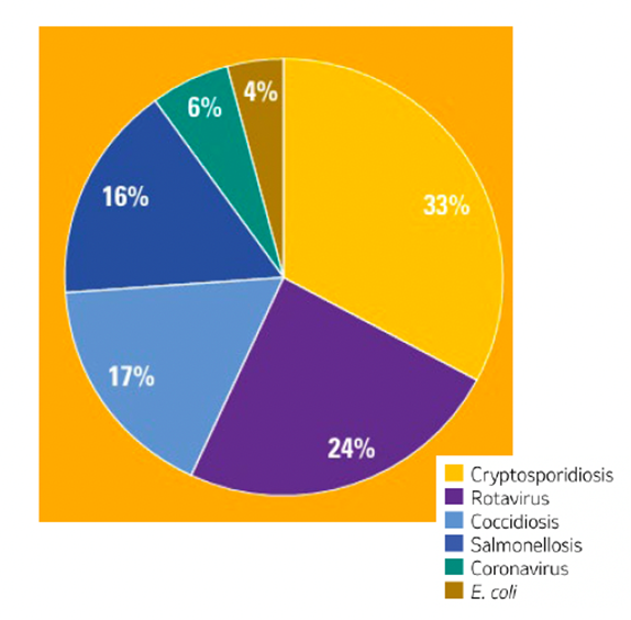 Pie chart showing causes of illness by percentage