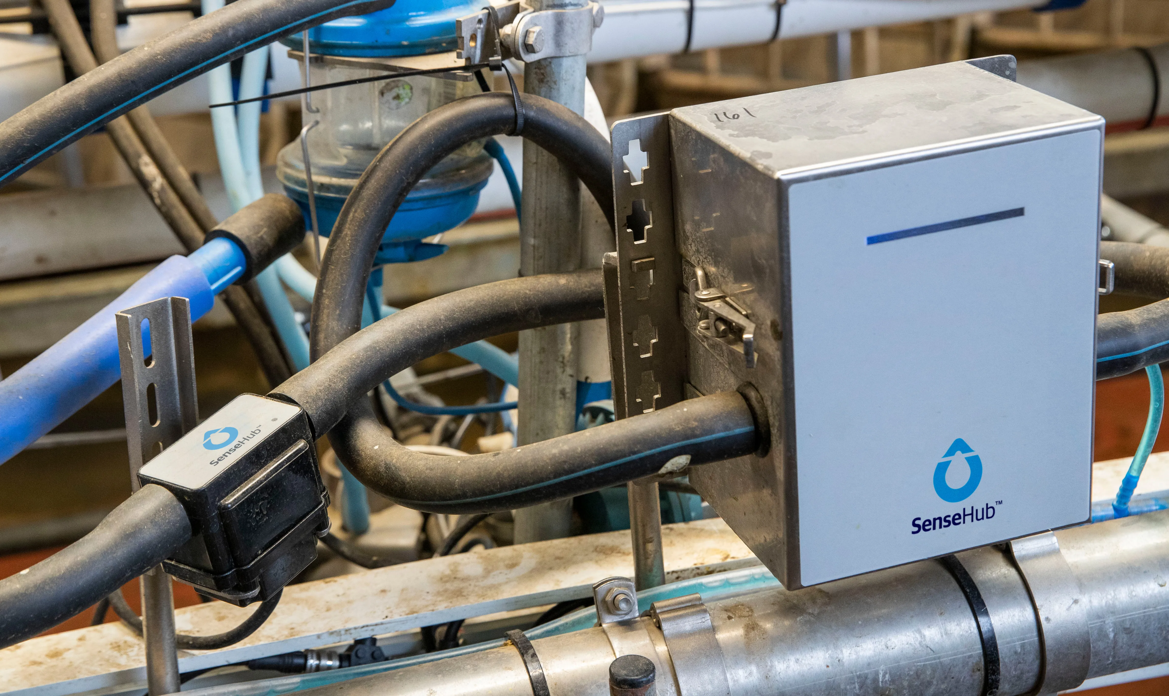 Monitoring Milk Quality with SenseHub