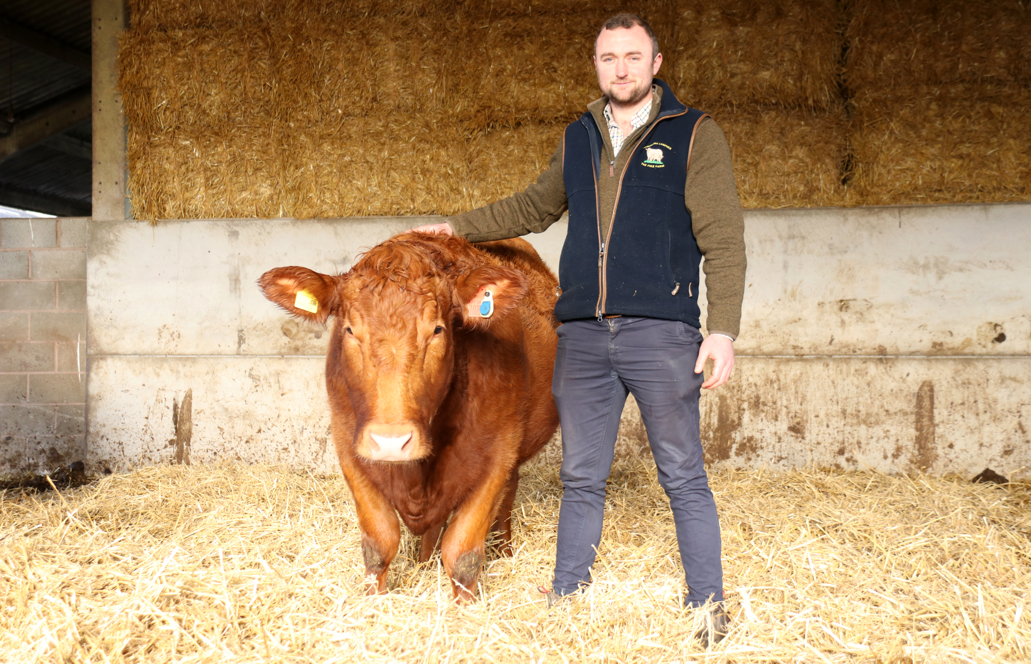 Monitoring ear tags reduce Stabiliser calving period