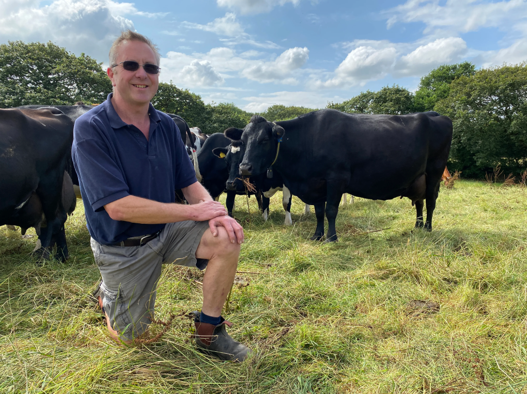 A smiling dairy farmer in a blue polo shirt and sunglasses kneeling in a green pasture with a herd of black and white cows grazing behind him.