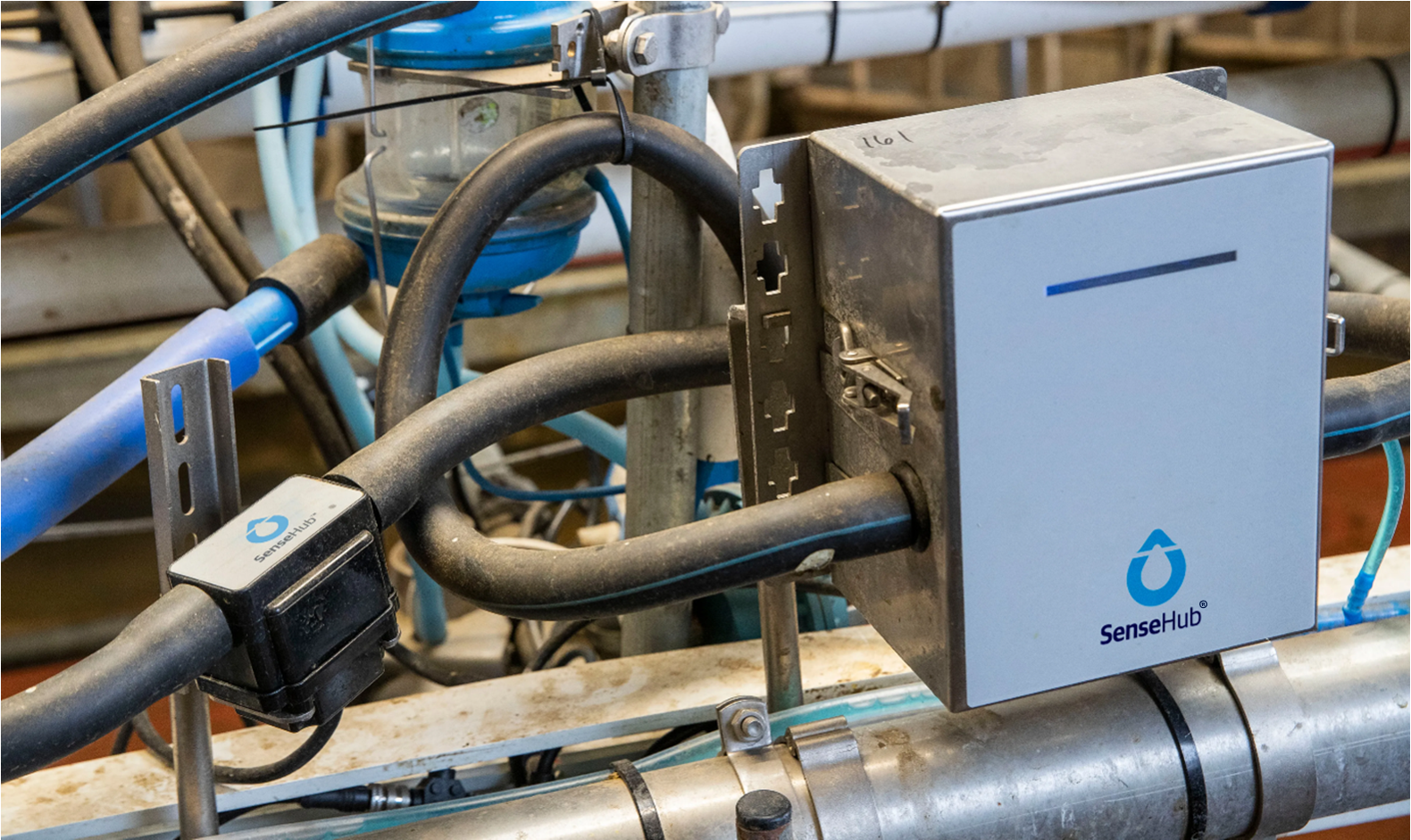monitoring_milk_quality SenseHub Dairy In-Line MilkPlus Sensor installed in a dairy milking system.