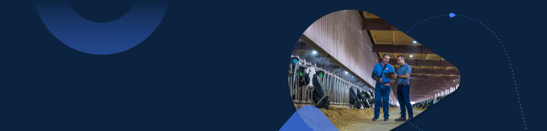 Modern Collaborative Farming Two farm staff reviewing herd data on a tablet in a dairy barn with cattle at feeding stations.