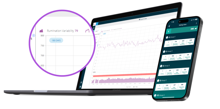 Laptop and phone showing Group data on screen