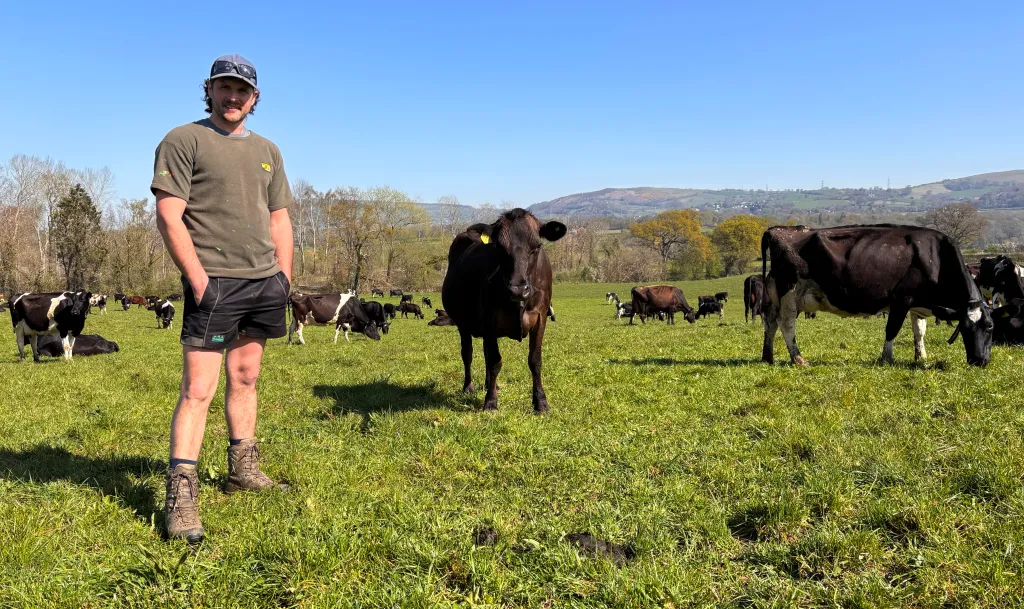 Block Calving Herd Embraces Monitoring Tech to Aid Herd Fertility