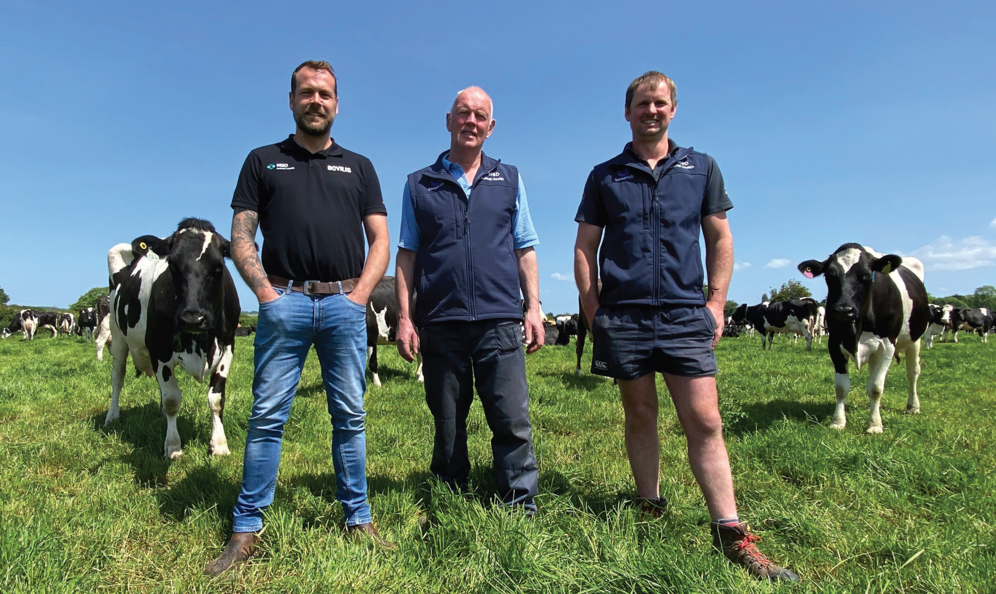 Three farmers standing side by side on a grassy field