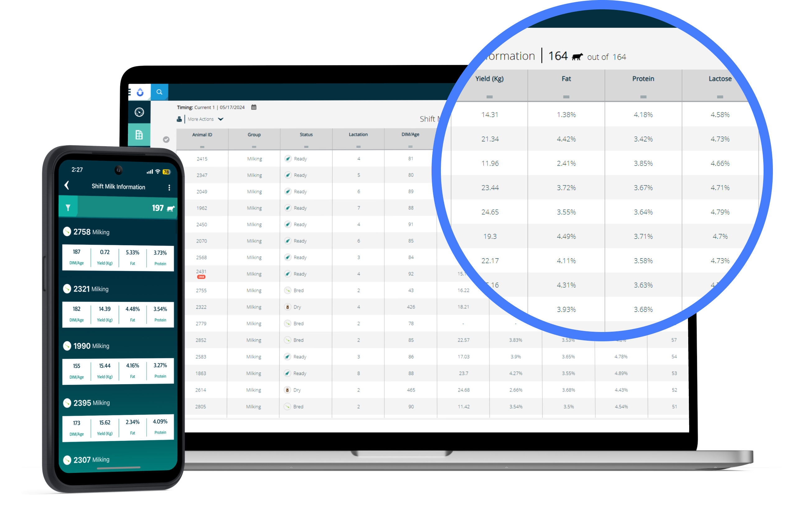 Mobile and laptop showing dairy management system with cow data and milk table