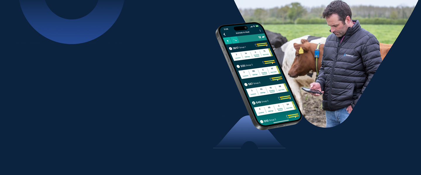 SenseHub Dairy Banner SenseHub Dairy mobile app displaying herd monitoring data alongside cattle and a farmer using a smartphone.