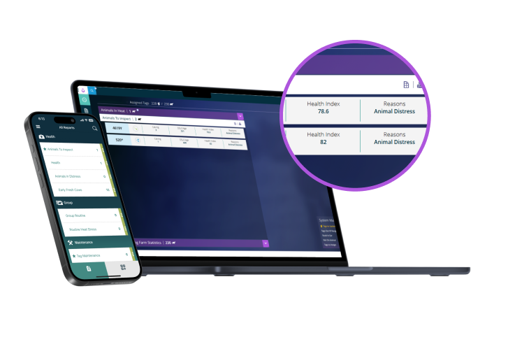 Laptop and phone showing Health data on screen