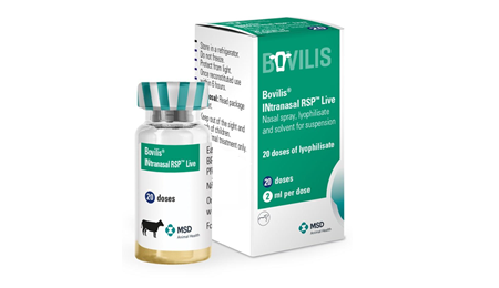 bovilis-intranasal-packaging-featured-450-260 Bovilis® INtranasal RSP™ Live product packaging.