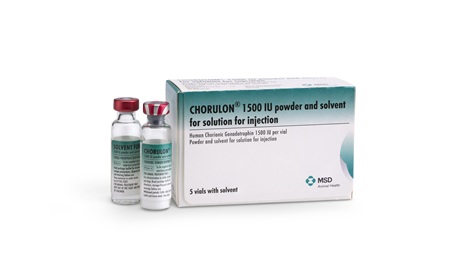 Chorulon® product packaging.