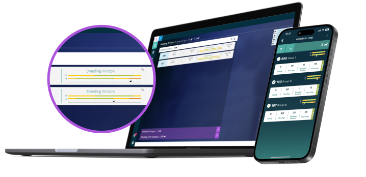 Laptop and phone showing Reproduction data on screen
