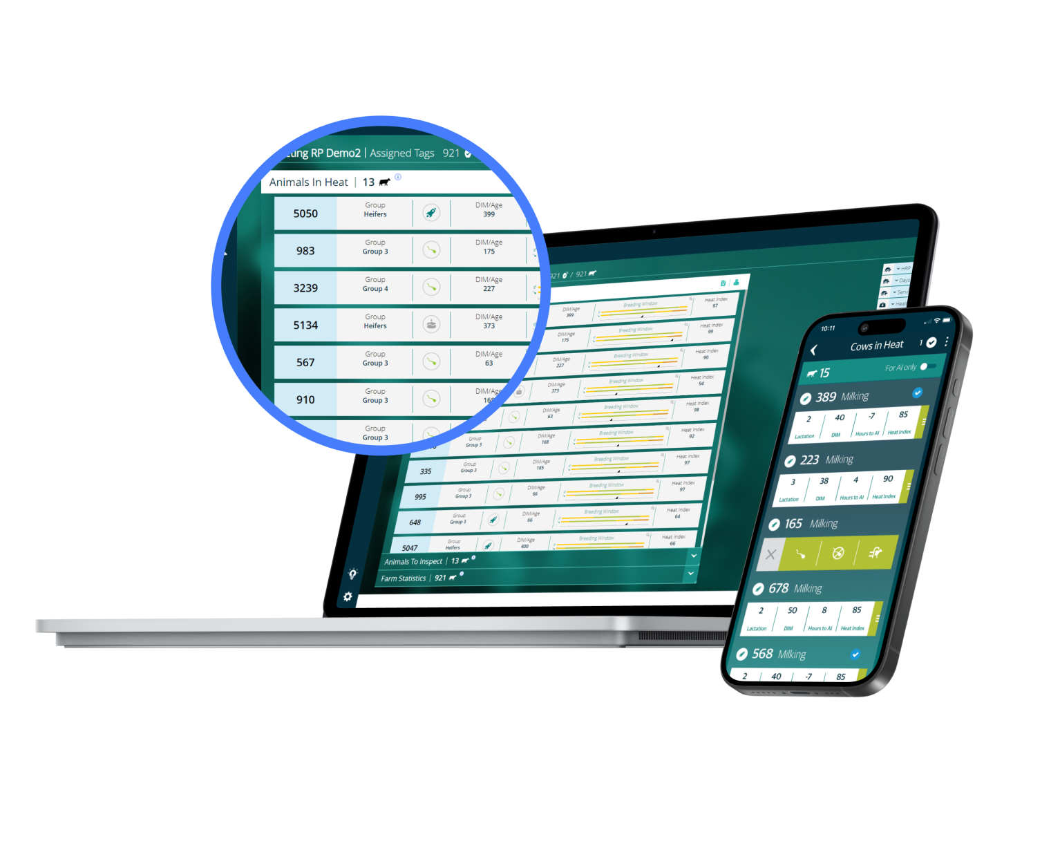 A composite image showing a laptop and a smartphone displaying the SenseHub dashboard. The screens show lists of livestock, heat index data, and animal health alerts, with a blue circular zoom highlighting a list of "Animals In Heat."