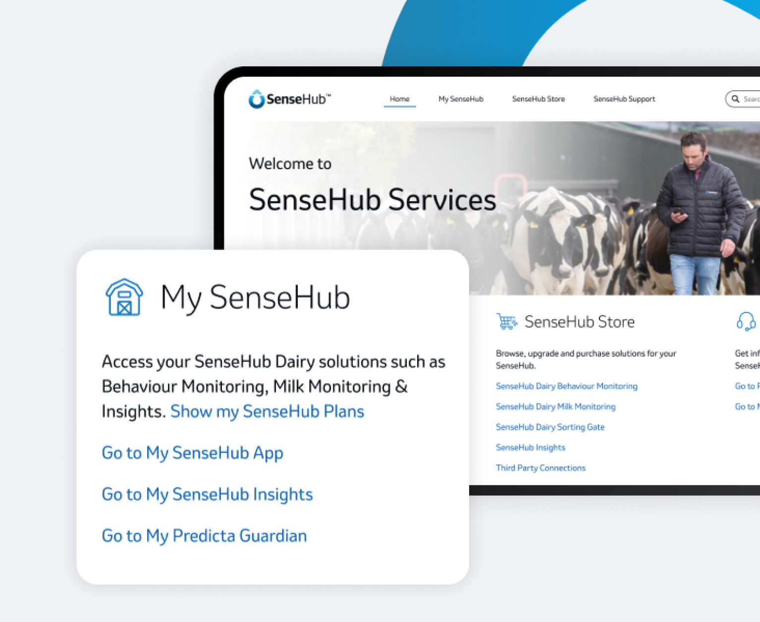 My SenseHub Dashboard Navigation A close-up screenshot of the SenseHub Services web portal featuring a prominent "My SenseHub" information card with links to the App, Insights, and Predicta Guardian. A blurred background shows a livestock manager among dairy cattle.