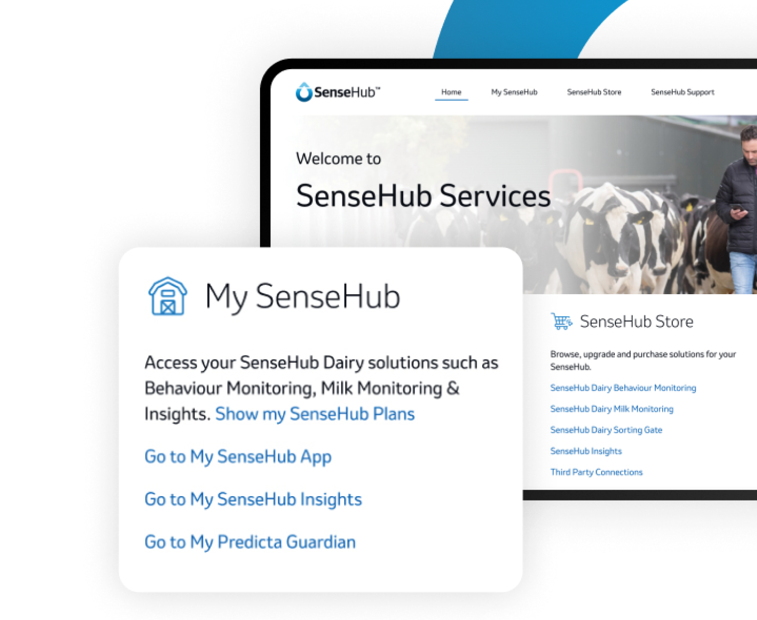 My SenseHub Dashboard Navigation A close-up screenshot of the SenseHub Services web portal featuring a prominent "My SenseHub" information card with links to the App, Insights, and Predicta Guardian. A blurred background shows a livestock manager among dairy cattle.