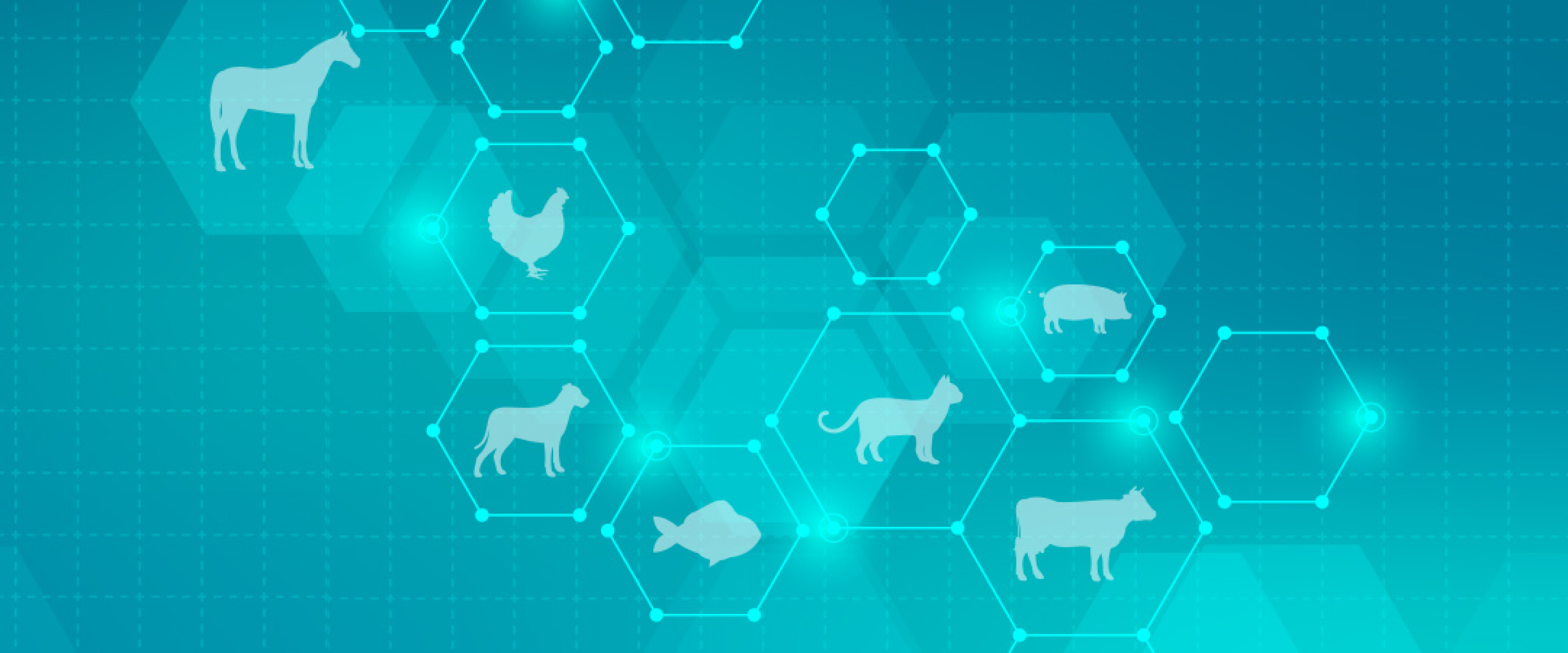 Invisible killer: 99% of UK vets have seen a pet die from a preventable infectious disease