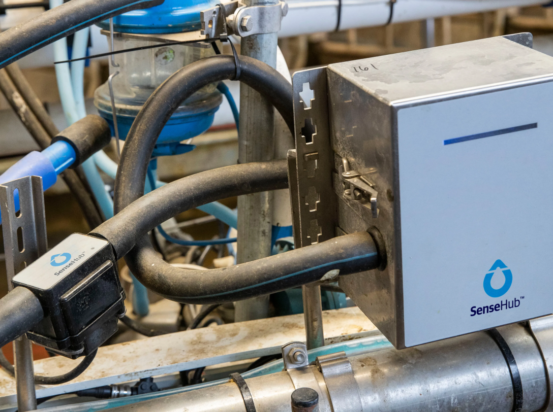 A close-up of a white and silver SenseHub control box mounted on metal railing with black and blue industrial piping in a dairy parlor.