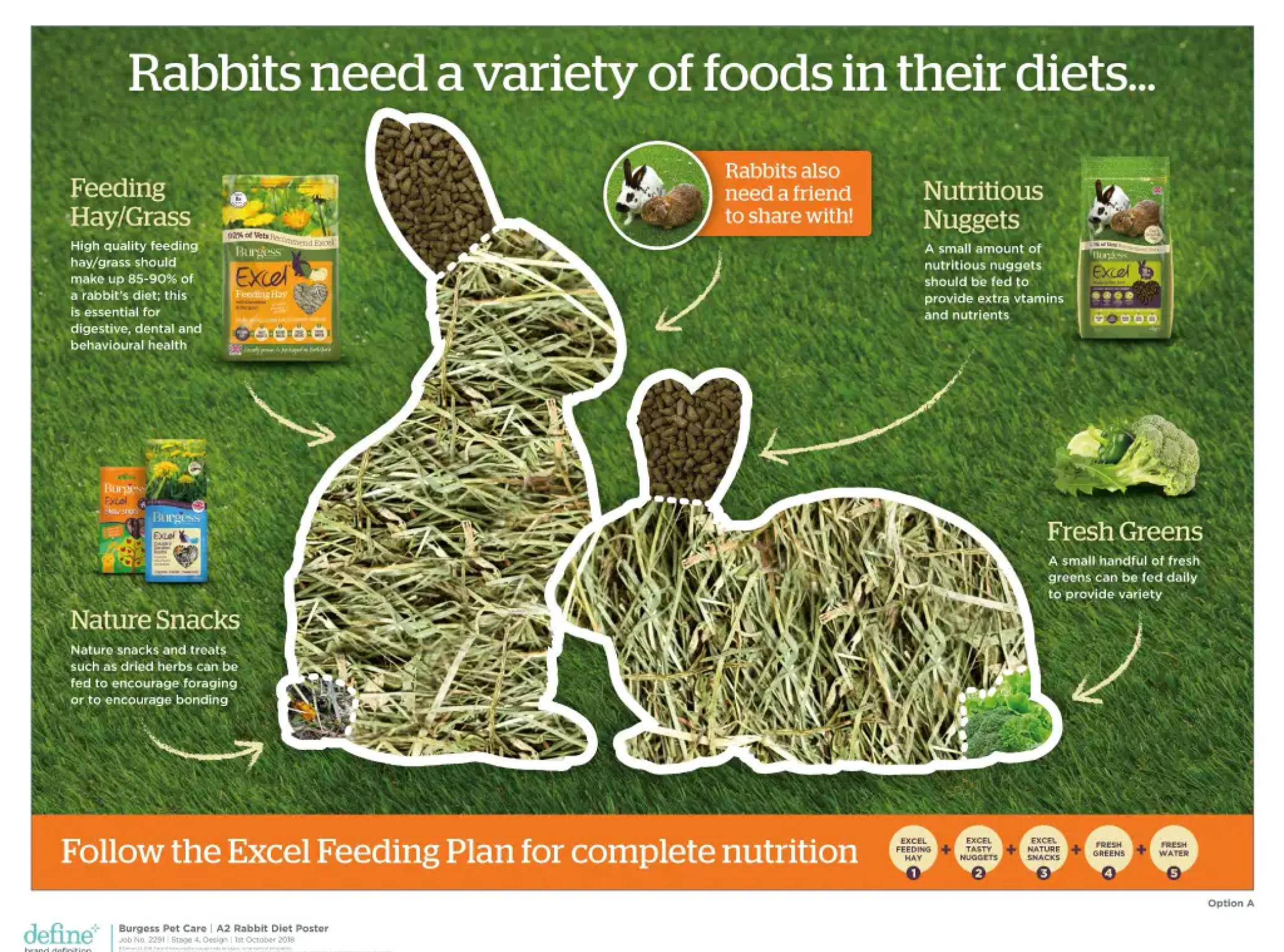 Top Tips for Rabbit Nutrition - MSD Animal Health United Kingdom
