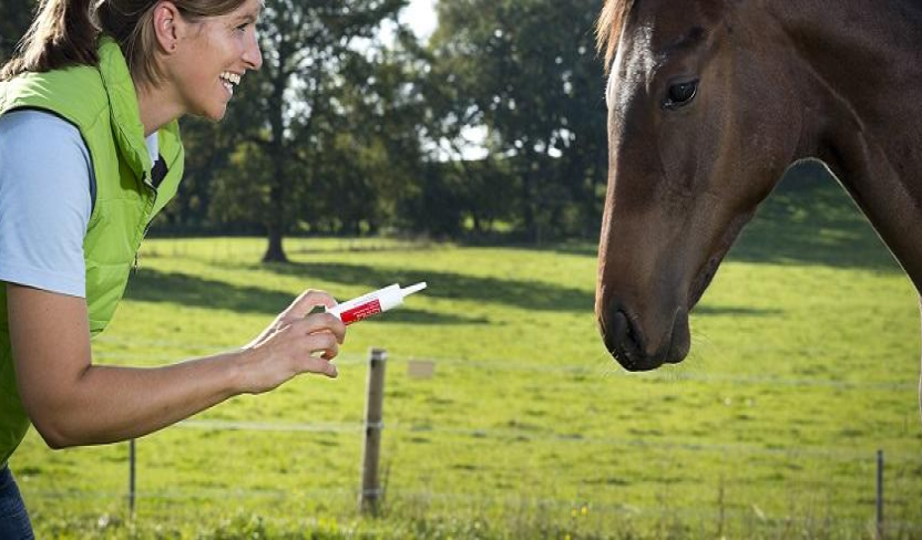 Horse Worming Programmes
