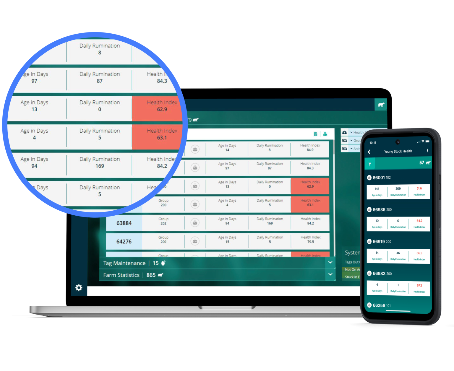 A laptop and smartphone displaying a digital health monitoring dashboard with data tables showing daily rumination and health index scores for livestock.