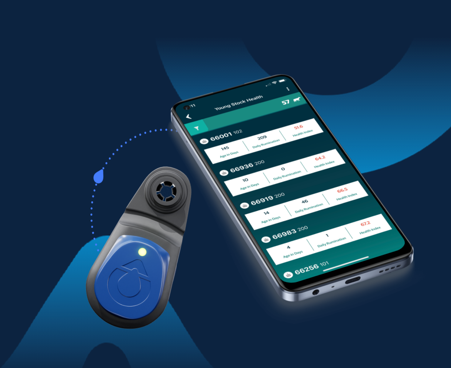 A blue SenseHub electronic ear tag shown next to a smartphone displaying the Young Stock Health monitoring app with livestock data.