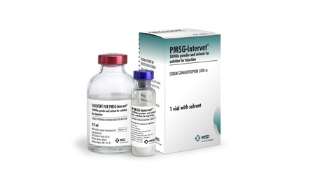 pmsg-intervet-packaging-featured-450-260 PMSG Intervet® product packaging.
