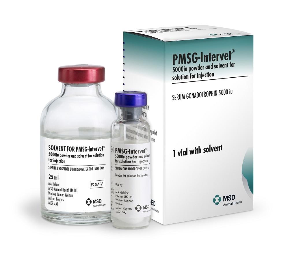 PMSG-Intervet® 5000 IU Powder and Solvent for Solution for Injection veterinary product by MSD Animal Health