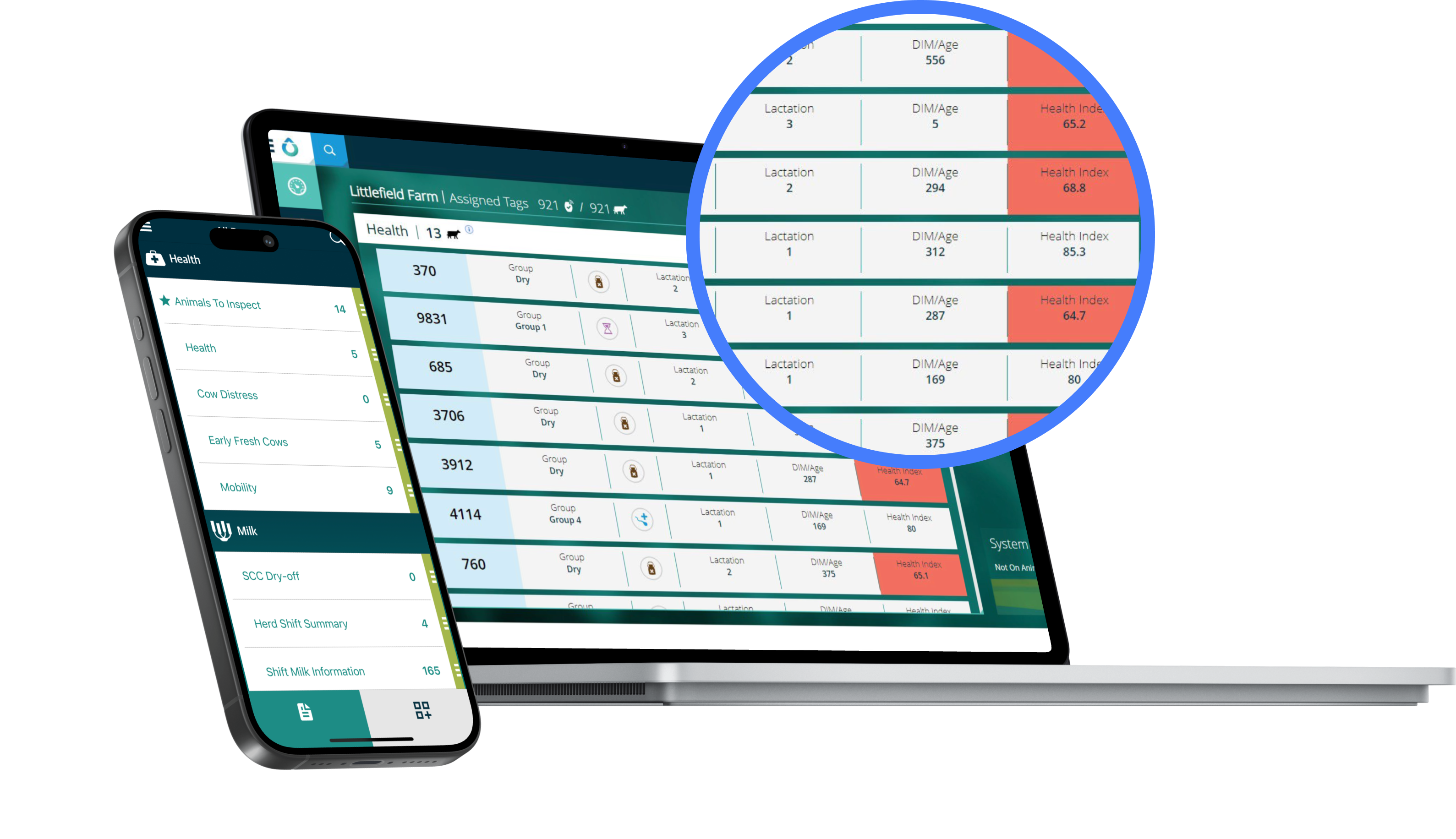 Data shown in laptop and phone