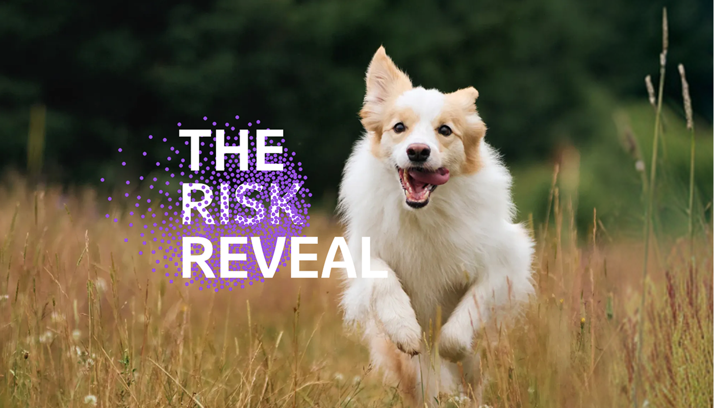 Helping to protect the
 dogs we love.