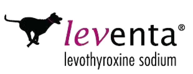 Leventa Logo Dog silhouette with pink collar and Leventa text