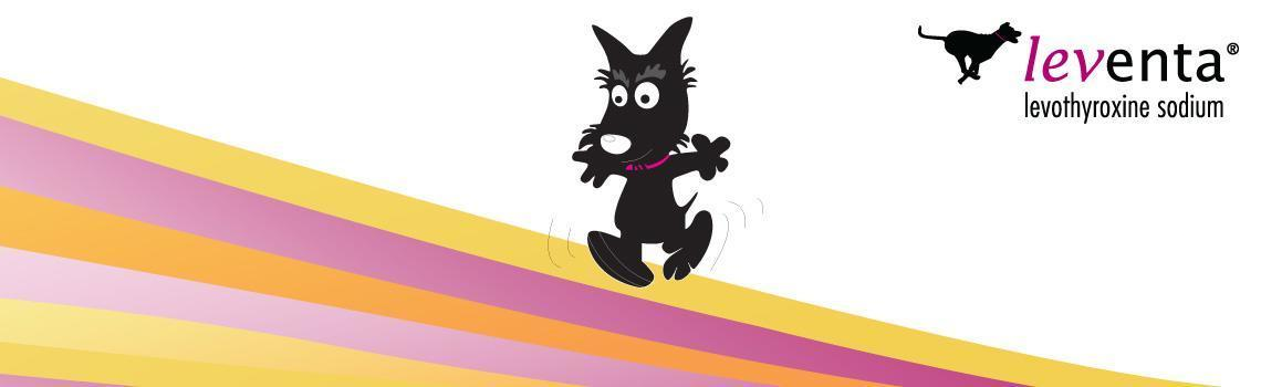 Leventa Dog Illustration Leventa® contains levothyroxine sodium