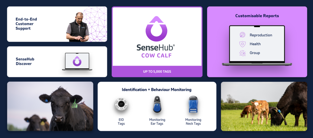 SenseHub Cow Calf ecosystem with monitoring tags, data insights, reporting tools and customer support.
