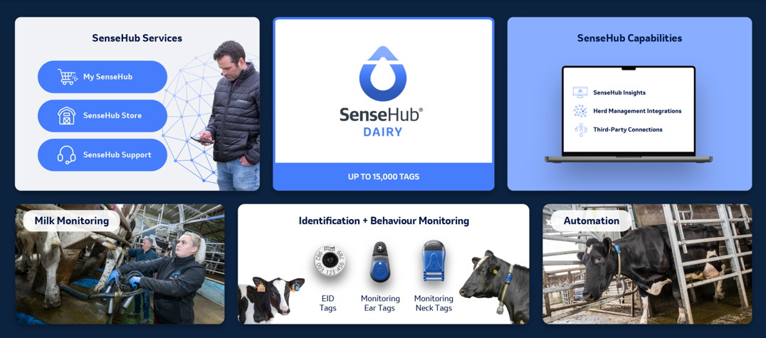 Overview of the SenseHub Dairy ecosystem, integrating behaviour monitoring, milk monitoring, automation, SenseHub services and capabilities.